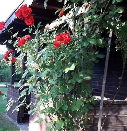 Gaestehaus Brigitte Freudenstadt