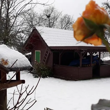 Panzió Gaestehaus Brigitte Freudenstadt